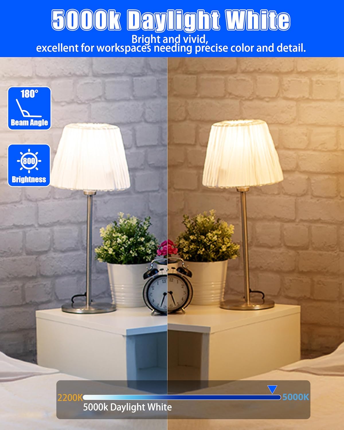 12 Pcs of A19 LED Bulbs - Non-dimmable